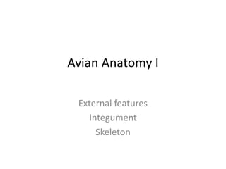 Avian Anatomy I
External features
Integument
Skeleton
 