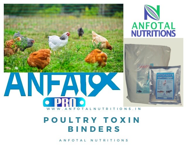 Poultry toxin binder