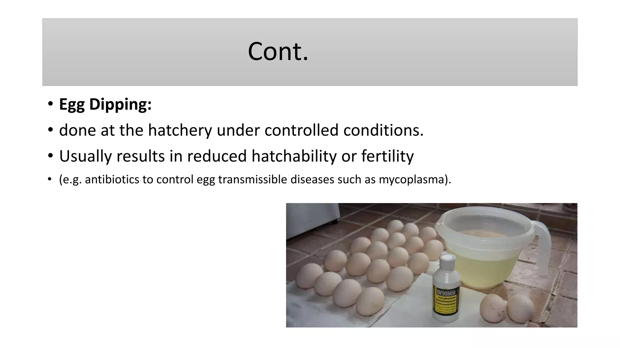 Poultry Vaccination Methods