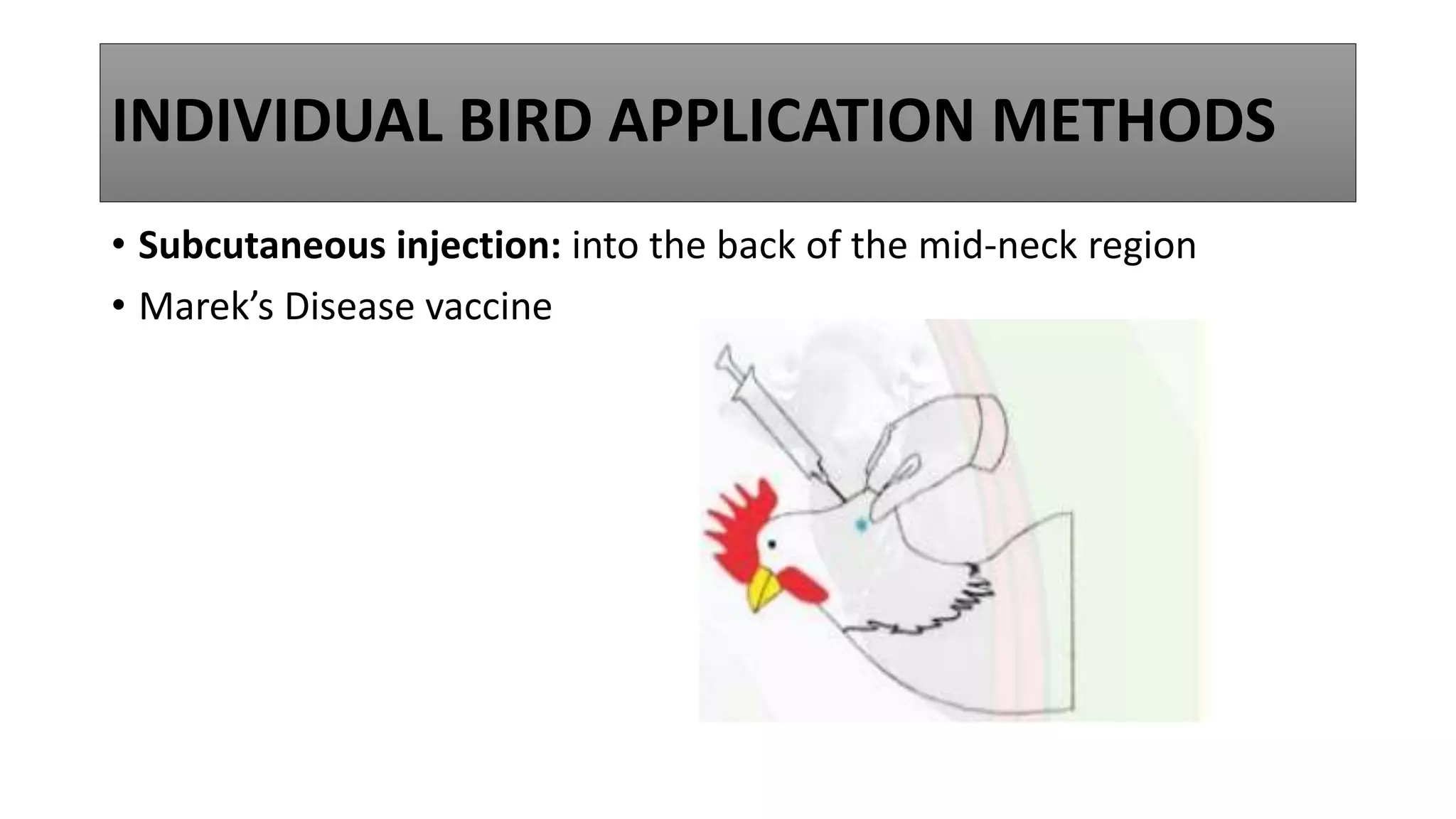 poultry-vaccination-methods-ppt