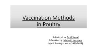 Vaccination Methods
in Poultry
Submitted to: Dr.M.Saeed
Submitted by: Mahzaib munawar
Mphil Poultry science (2020-2022)
 