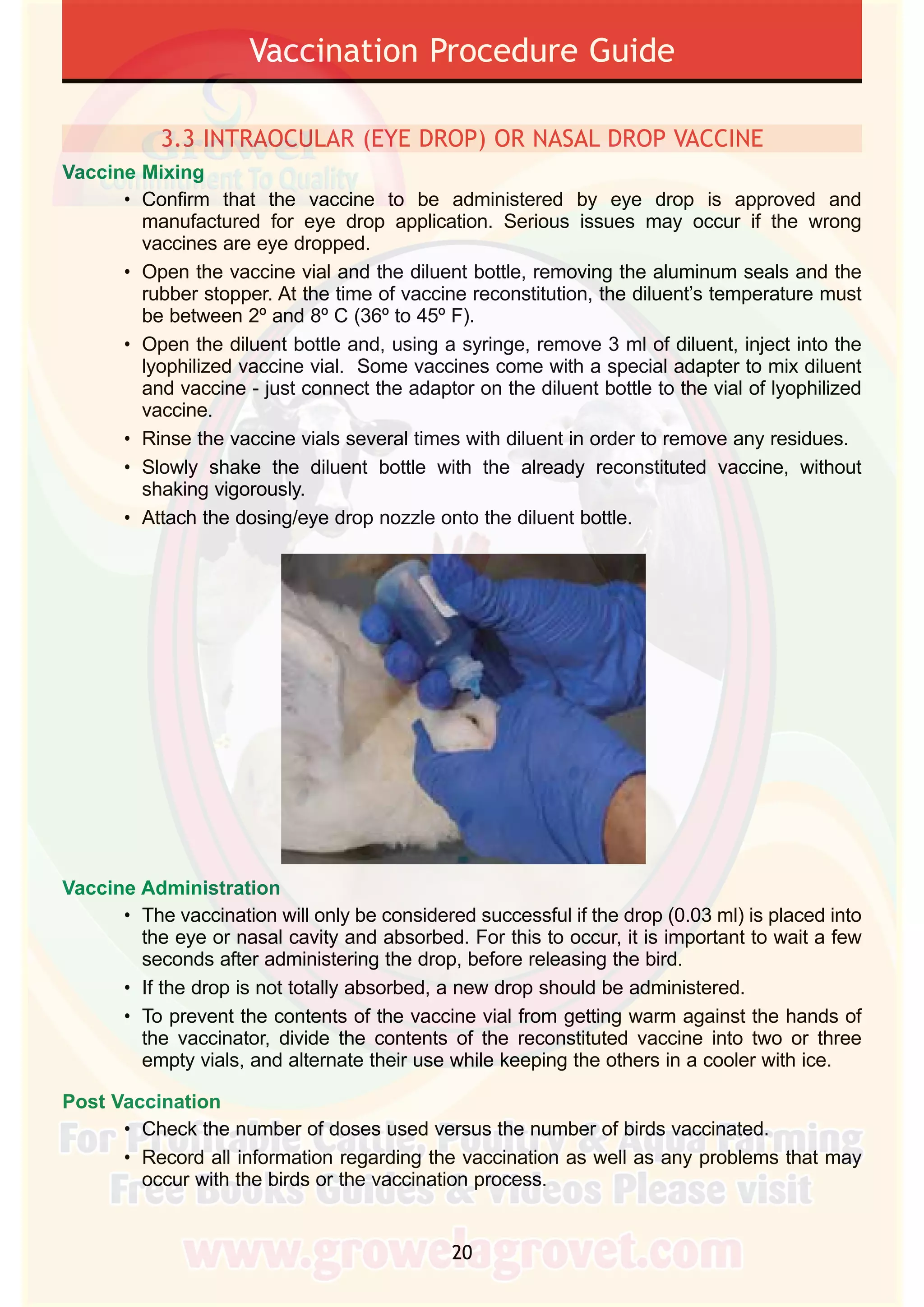 Poultry Injection Poultry Vaccination Guide | PDF