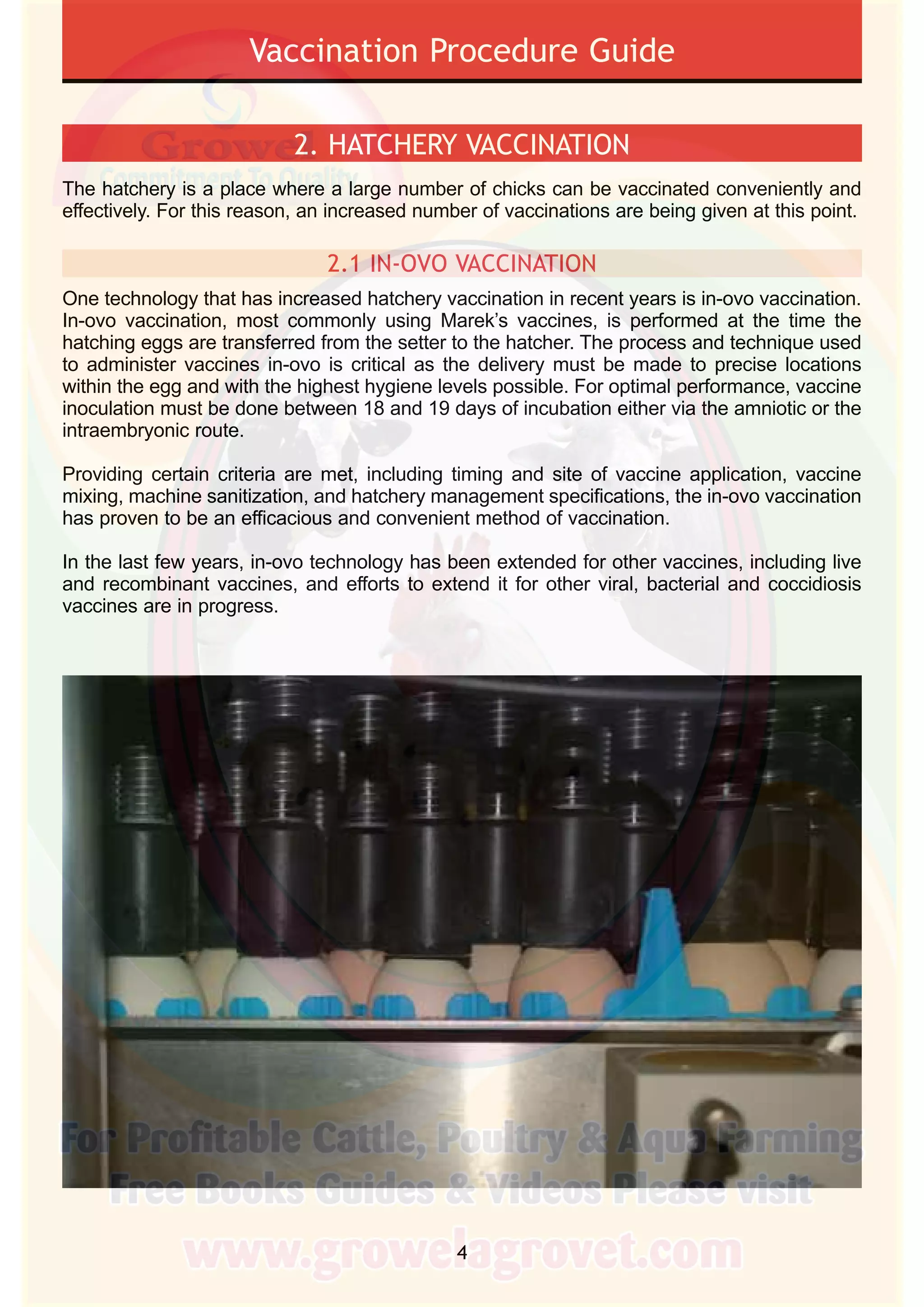 Poultry Vaccination Guide PDF