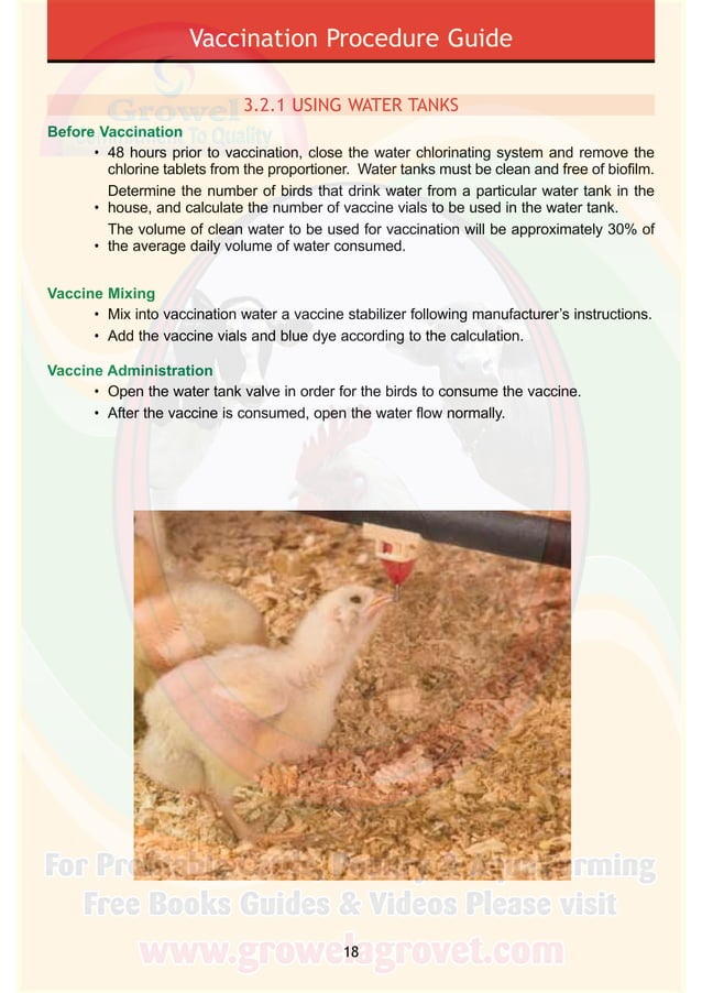 Poultry Vaccination Guide PDF