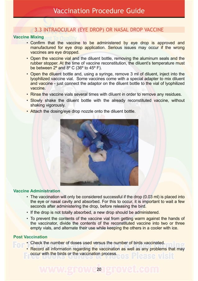 Poultry Vaccination Guide PDF
