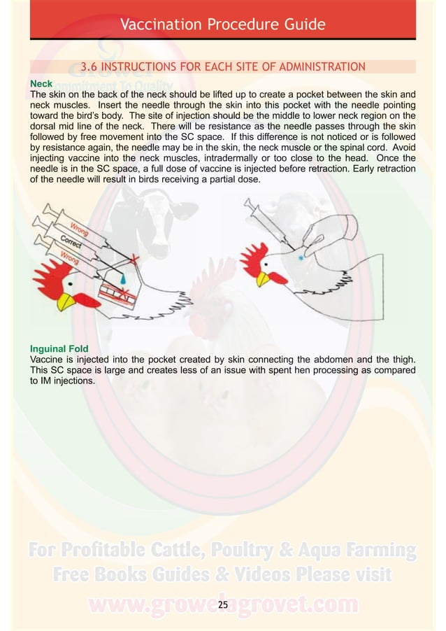 Poultry Vaccination Guide PDF