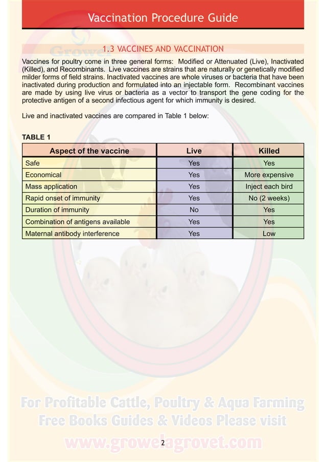 Poultry Vaccination Guide PDF