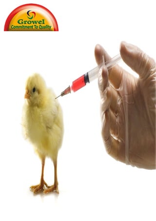 Poultry
Vaccination
Guide
 