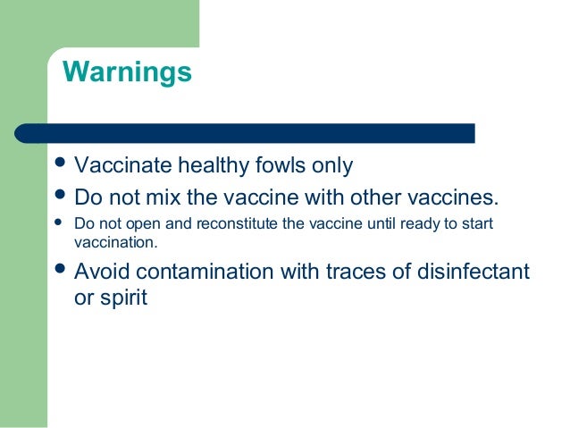 Poultry vaccine application & equipment