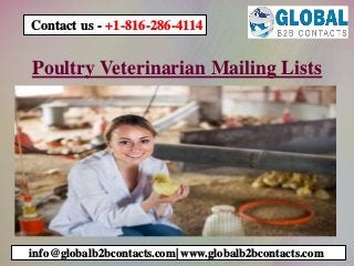 Poultry Veterinarian Mailing Lists
info@globalb2bcontacts.com| www.globalb2bcontacts.com
Contact us - +1-816-286-4114
 