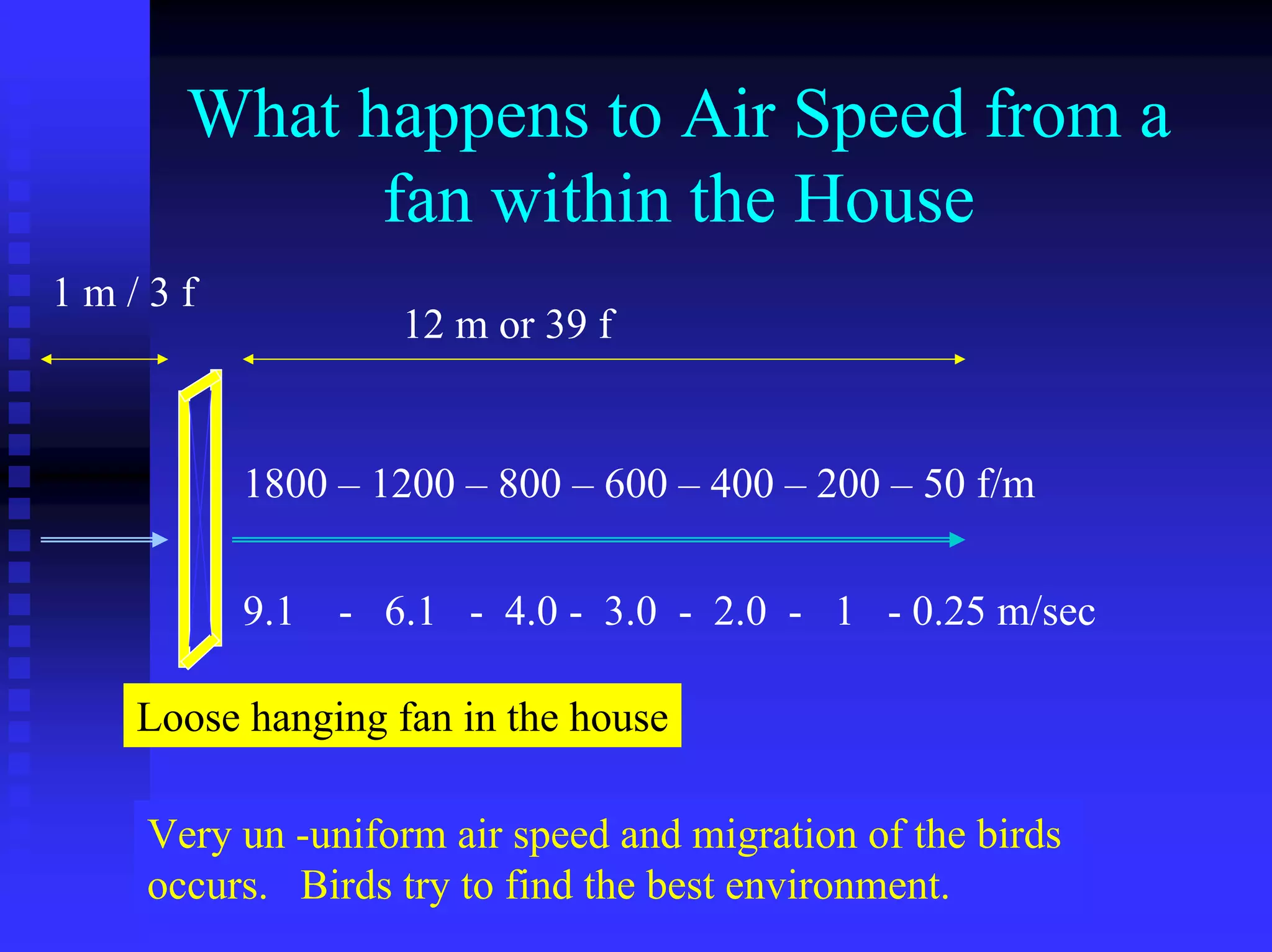 What happens to Air Speed from a
fan within the House
12 m or 39 f
1 m / 3 f
1800 – 1200 – 800 – 600 – 400 – 200 – 50 f/m
9.1 - 6.1 - 4.0 - 3.0 - 2.0 - 1 - 0.25 m/sec
Loose hanging fan in the house
Very un -uniform air speed and migration of the birds
occurs. Birds try to find the best environment.
 