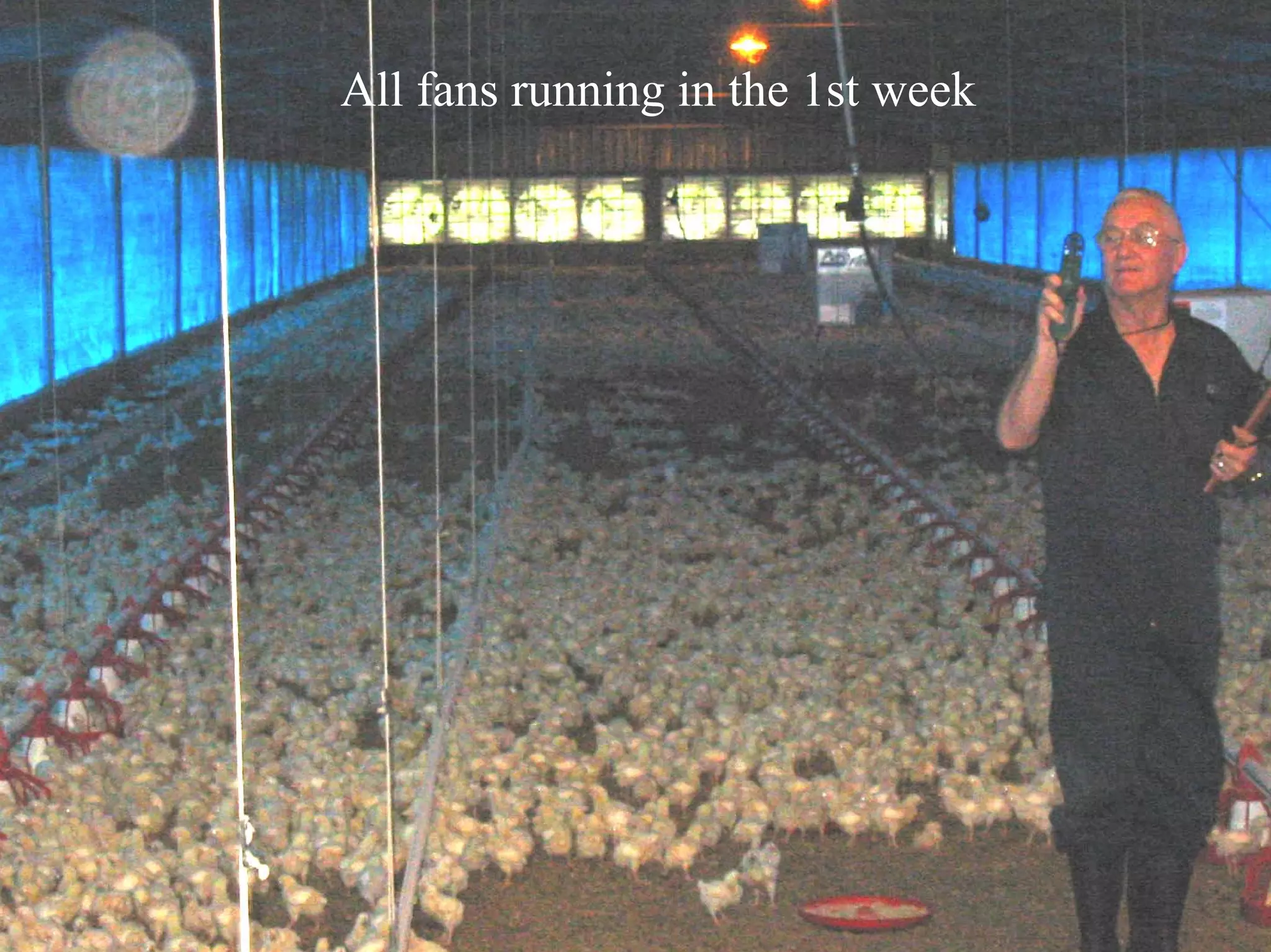 All fans running in the 1st week
 