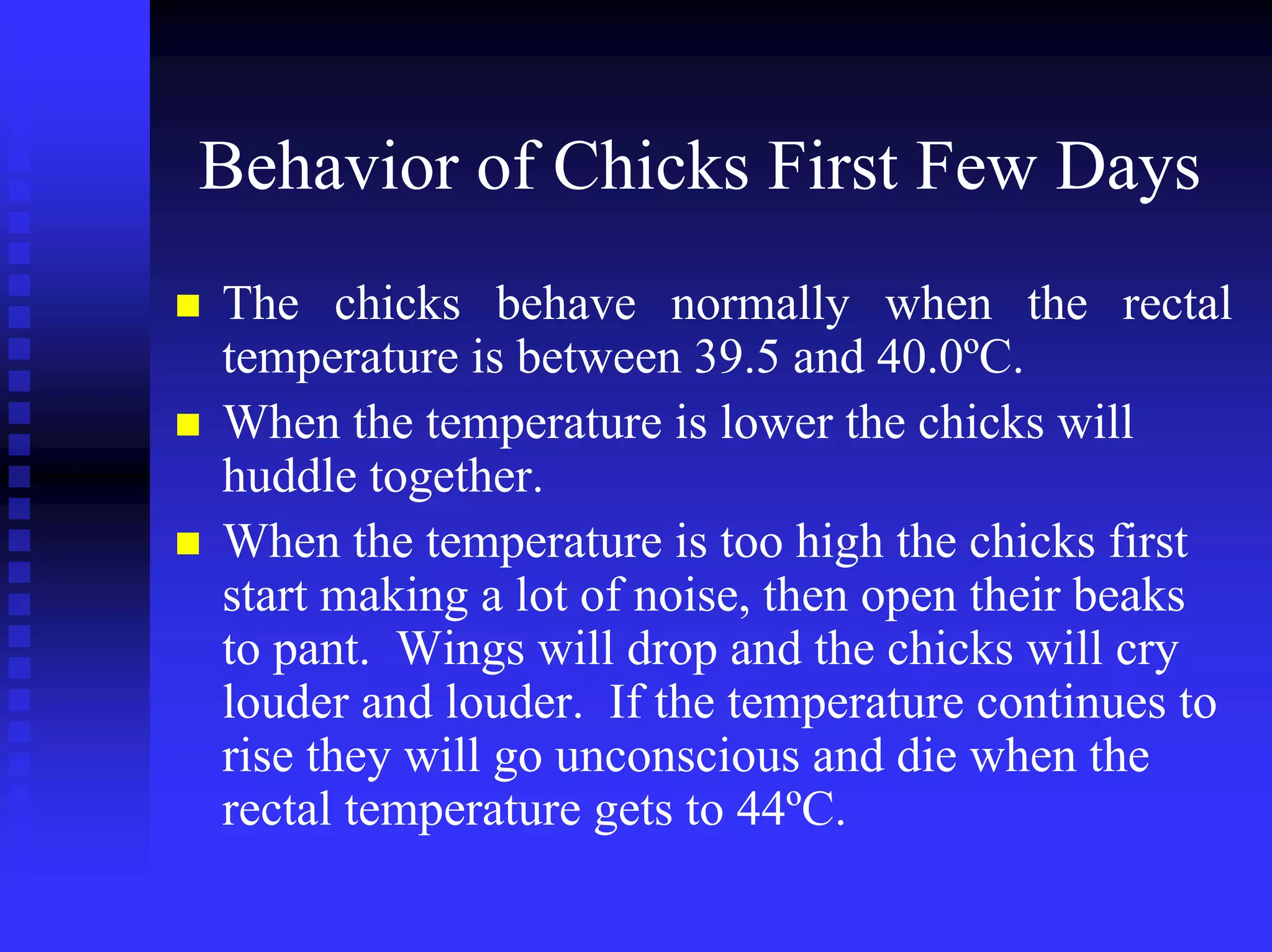 Behavior of Chicks First Few Days
The chicks behave normally when the rectal
temperature is between 39.5 and 40.0ºC.
When the temperature is lower the chicks will
huddle together.
When the temperature is too high the chicks first
start making a lot of noise, then open their beaks
to pant. Wings will drop and the chicks will cry
louder and louder. If the temperature continues to
rise they will go unconscious and die when the
rectal temperature gets to 44ºC.
 