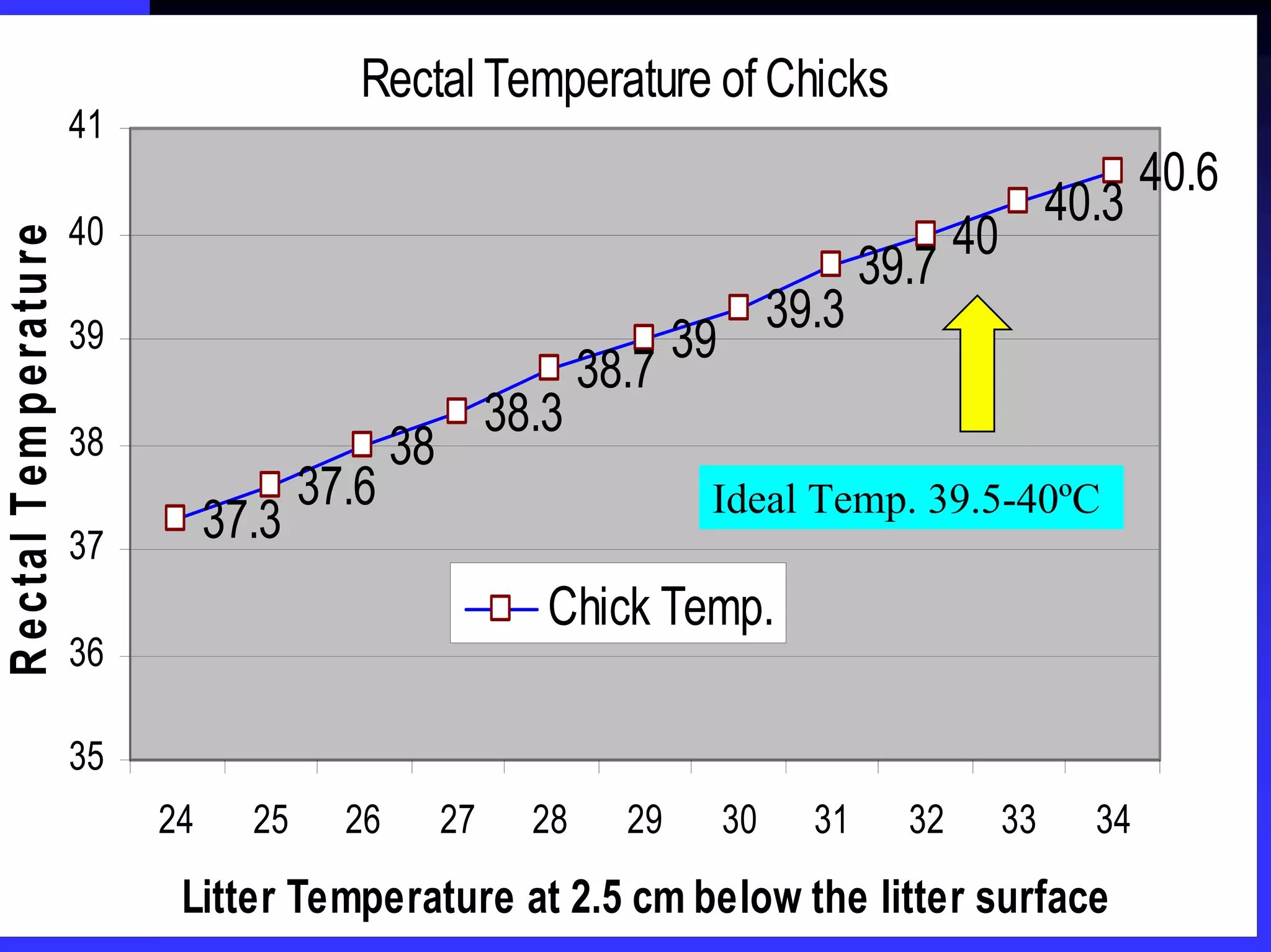 Rectal Temperature of Chicks
37.3
37.6
38
38.3
38.7
39
39.3
39.7
40
40.3
40.6
35
36
37
38
39
40
41
24 25 26 27 28 29 30 31 32 33 34
Litter Temperature at 2.5 cm below the litter surface
RectalTemperature
Chick Temp.
Ideal Temp. 39.5-40ºC
 