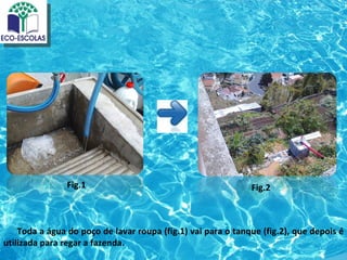 Fig.1                                         Fig.2



    Toda a água do poço de lavar roupa (fig.1) vai para o tanque (fig.2), que depois é
utilizada para regar a fazenda.
 