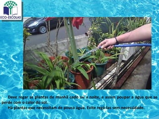 Deve regar as plantas de manhã cedo ou a noite, e assim poupar a água que se
perde com o calor do sol.
   Há plantas que necessitam de pouca água. Evite regá-las sem necessidade.
 