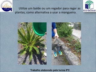 Utilize um balde ou um regador para regar as
plantas, como alternativa a usar a mangueira.
Trabalho elaborado pela turma 8º2
 