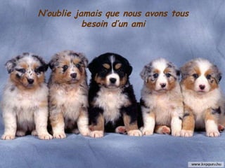 N’oublie jamais que nous avons tous besoin d’un ami