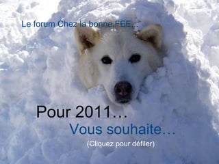 Pour 2011…
Vous souhaite…
(Cliquez pour défiler)
Le forum Chez la bonne FEE...
 