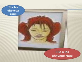 Il a les
cheveux
  roux




              Elle a les
            cheveux roux
 