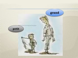 grand




petit
 