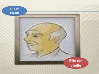 Il est
vieux




         Elle est
          vieille
 