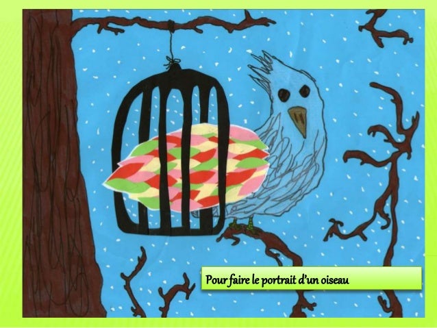 Pour Faire Le Portrait Dun Oiseau