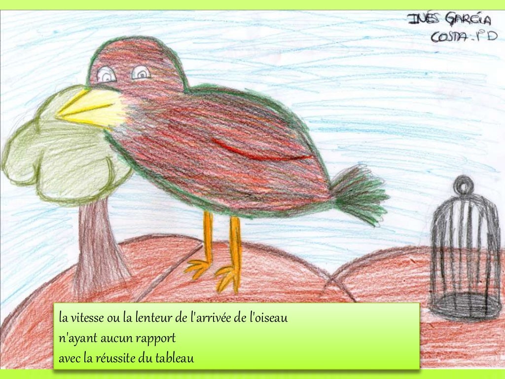Pour Faire Le Portrait D Un Oiseau Cm2