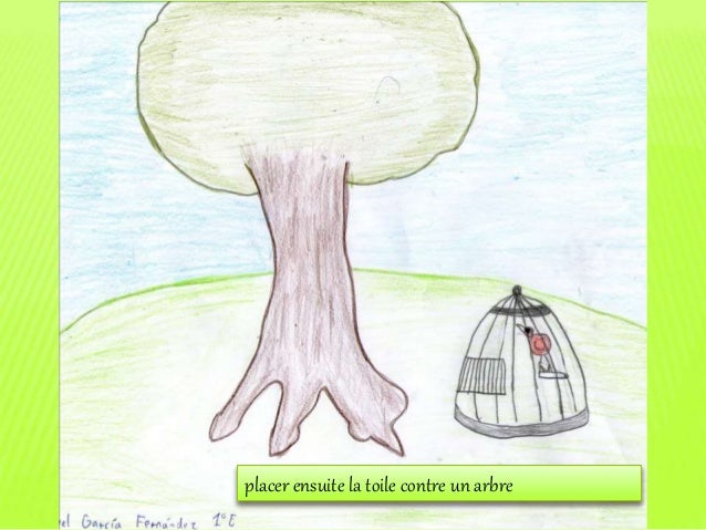 Pour Faire Le Portrait Dun Oiseau