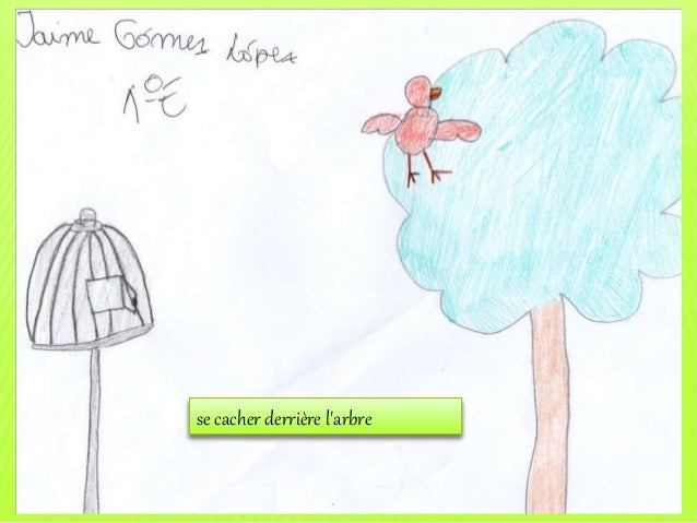 Pour Faire Le Portrait Dun Oiseau