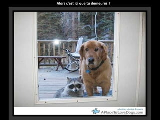 Alors c'est ici que tu demeures ?

 