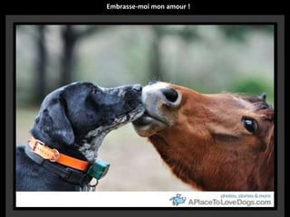 Embrasse-moi mon amour !

 