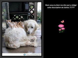 Mais veux-tu bien me dire qui a rédigé
cette description de tâches ?!!???

 