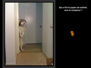 Qui a fini le papier de toilette
sans le remplacer ?

 
