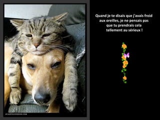 Quand je te disais que j'avais froid
aux oreilles, je ne pensais pas
que tu prendrais cela
tellement au sérieux !

 