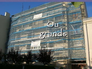 Ou  grands 