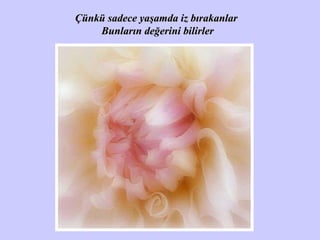 Çünkü sadece yaşamda iz bırakanlar   Bunların değerini bilirler 