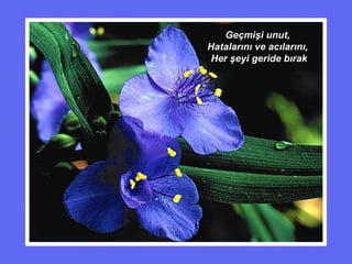 Geçmişi unut ,  Hatalarını ve acılarını,   Her şeyi geride bırak 