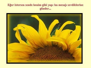 Eğer istersen sende benim gibi yap :  bu mesajı sevdiklerine gönder ... 