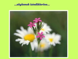… söylemek istediklerine … 