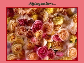 Ağlayanları … 