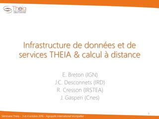 Séminaire Theia - 3 et 4 octobre 2016 - Agropolis International Montpellier
Infrastructure de données et de
services THEIA & calcul à distance
E. Breton (IGN)
J.C. Desconnets (IRD)
R. Cresson (IRSTEA)
J. Gasperi (Cnes)
1
 