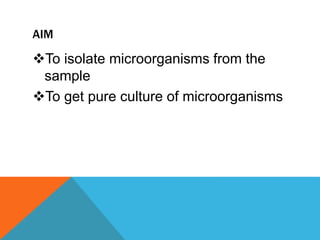 AIM
To isolate microorganisms from the
sample
To get pure culture of microorganisms
 