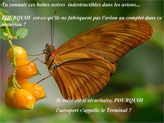 Tu connais ces boîtes noires  indestructibles dans les avions...  POURQUOI  est-ce qu'ils ne fabriquent pas l'avion au complet dans ce matériau ?  Si voler est si sécuritaire, POURQUOI   l'aéroport s'appelle le Terminal ?  
