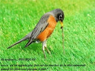 Et toujours... POURQUOI  est-ce  qu'on appuie plus fort sur les touches de la télécommande quand les piles sont presque à plat ?  