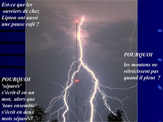 Est-ce que les  ouvriers de chez Lipton ont aussi une pause café ?  POURQUOI  les moutons ne rétrécissent pas quand il pleut  ? POURQUOI  'séparés' s'écrit-il en un mot,  alors que 'tous ensemble' s'écrit en deux mots séparés?  