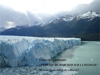 Comment les panneaux  ' DÉFENSE DE MARCHER SUR LA PELOUSE’  arrivent-ils au milieu de celles-ci ? 