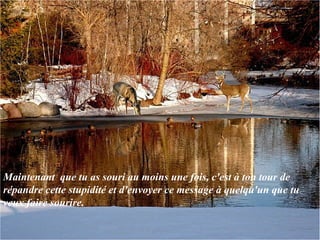 Maintenant  que tu as souri au moins une fois, c'est à ton tour de répandre cette stupidité et d'envoyer ce message à quelqu'un que tu veux faire sourire.  