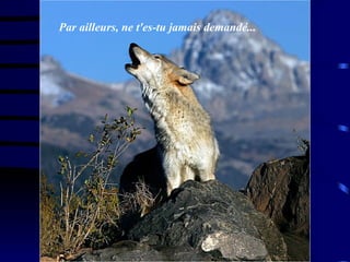 Par ailleurs, ne t'es-tu jamais demandé...  