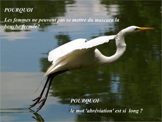 POURQUOI  Les femmes ne peuvent pas se mettre du mascara la bouche fermée?  POURQUOI  le mot 'abréviation' est si  long ?  